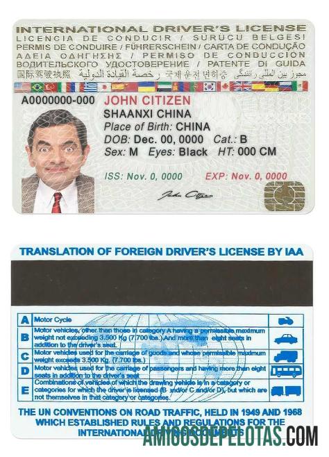 Carteira de motorista internacional exemplo